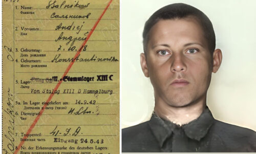 розыск солдата