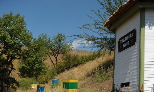 Баня пчелиная2