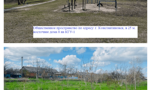 новая