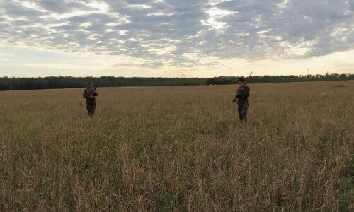 d2ef03c8eec2a42eca14b5ee62425a83_500_333_cropped