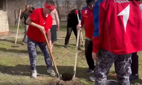 snapedit_1774943207643