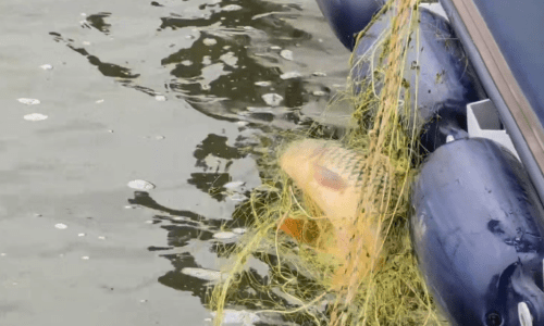 2026-04-08_08-00-55-Photoroom (1)