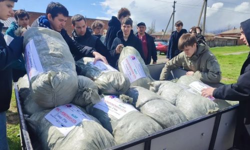 2HHk2mg_To6KiB_5iqqtiwUs4beSKip3NKlNaMQk0WVVxN7-dKqzJyiqBvF2IgeSfuQVgeA_EmqYPpbsy27X0uu8