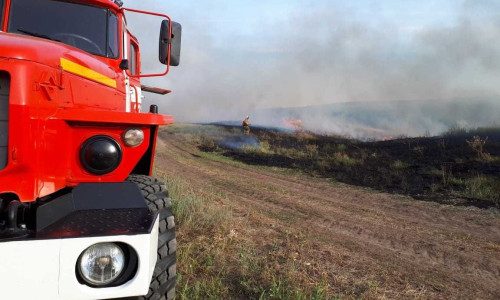 700b3c84a0d3897ba3540aae62732efb_500_333_cropped