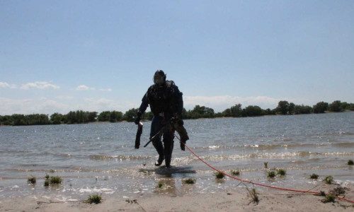 8cf4b7b40d95915b878d397fedfad28c_500_333_cropped