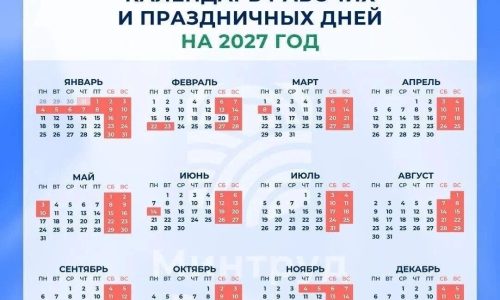 scale_1200 (1)